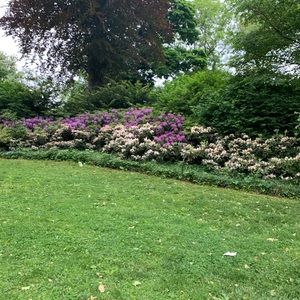 Meet your Posher, Loren